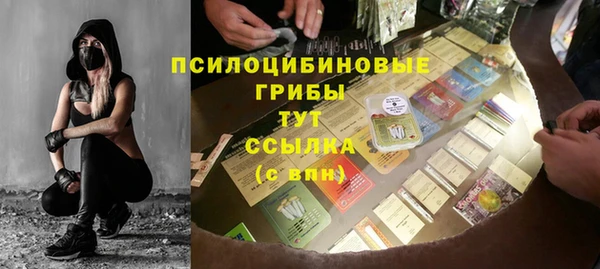 прущий лед Семёнов