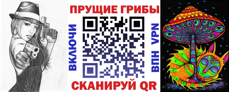 Купить закладки  Кущёвская  Псилоцибиновые грибы GOLDEN TEACHER 